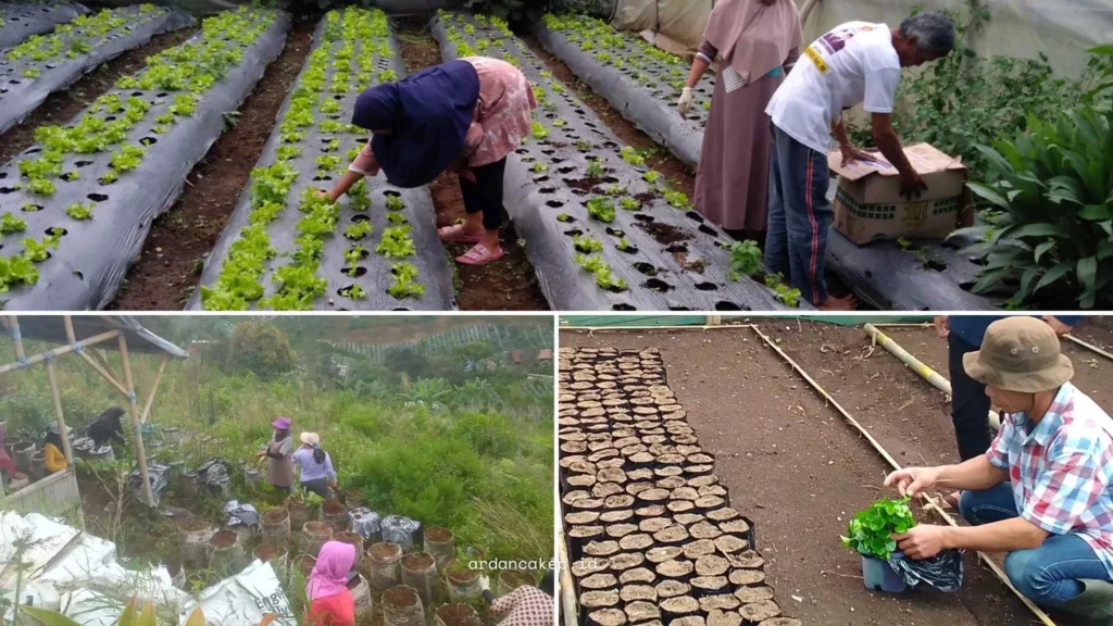 Ecovillage JAGAL Suntenjaya yang menggambarkan perjalanan warga menjaga lingkungan dengan circular farming, panen air hujan, dan kompos organik.