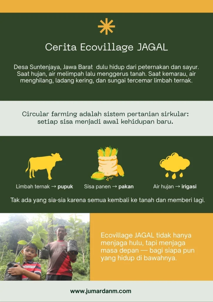 Infografis Ecovillage JAGAL Suntenjaya yang menggambarkan perjalanan warga menjaga lingkungan dengan circular farming, panen air hujan, dan kompos organik.